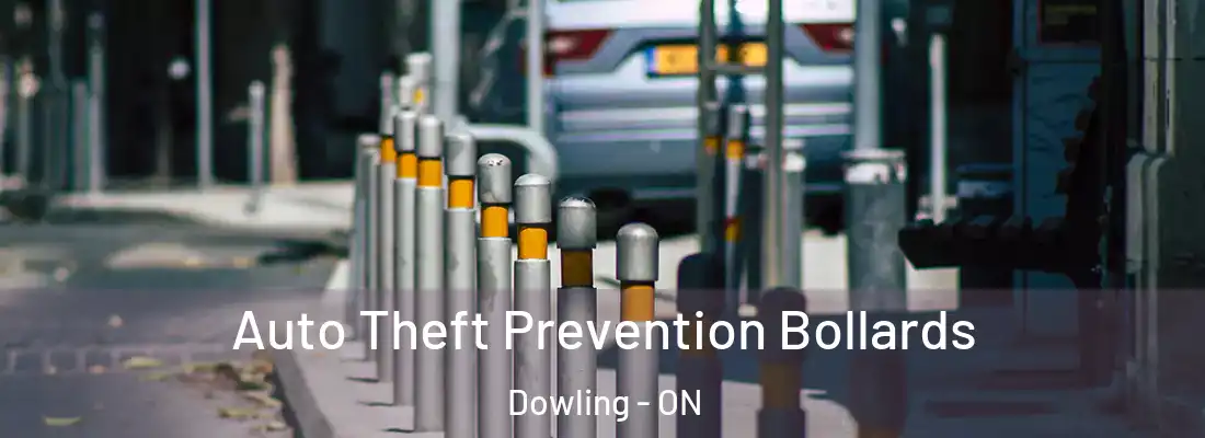  Auto Theft Prevention Bollards Dowling - ON